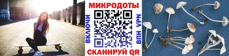 Галлюциногенные грибы Psilocybine cubensis  Купить  Тогучин 